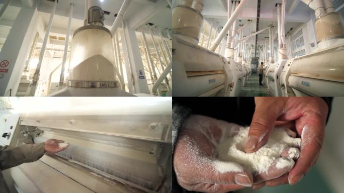 面粉厂 检验面粉质量