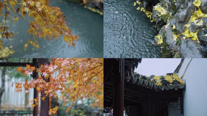 苏州园林怡园秋色雨景