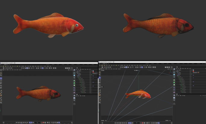 C4D鲤鱼游动工程文件