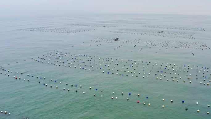 浙江 花鸟岛 岛屿 海边 风景 航拍