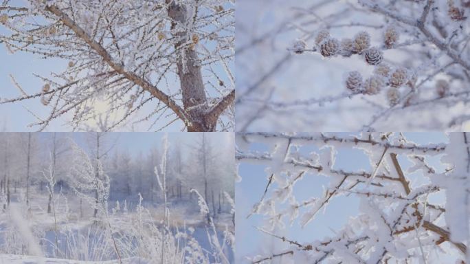 冬天冰天雪地寒冷唯美空镜