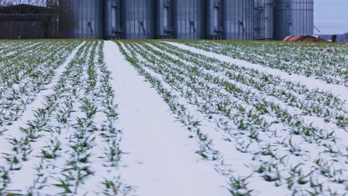 SLO - MO无人机拍摄的斯洛文尼亚天空下积雪覆盖的农业景观和背景筒仓