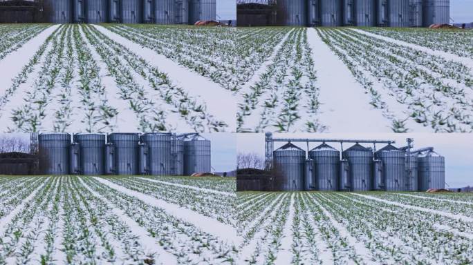 SLO - MO无人机拍摄的斯洛文尼亚天空下积雪覆盖的农业景观和背景筒仓