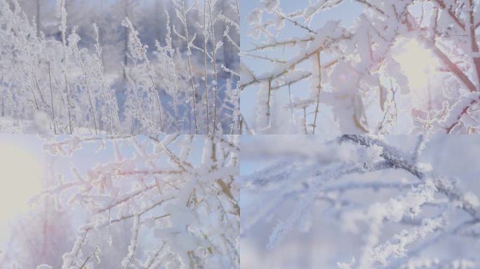 冰天雪地冬天意境空镜头冰雪世界唯美转场