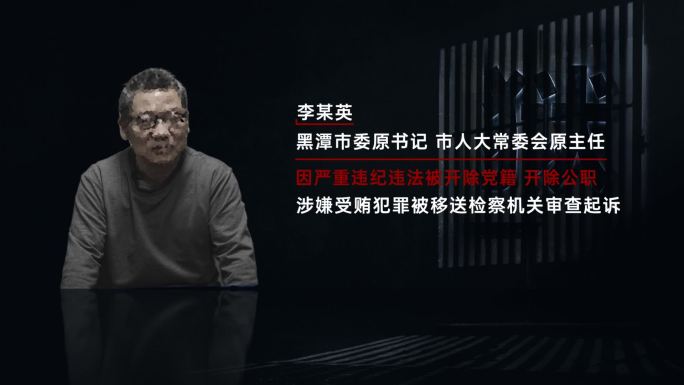 纪检纪委 反腐 警示教育 犯罪嫌疑人介绍