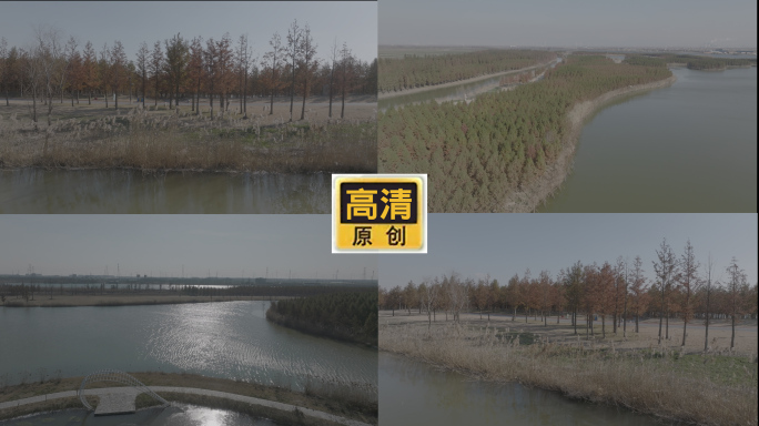 生态河道青山绿水生态河道治理