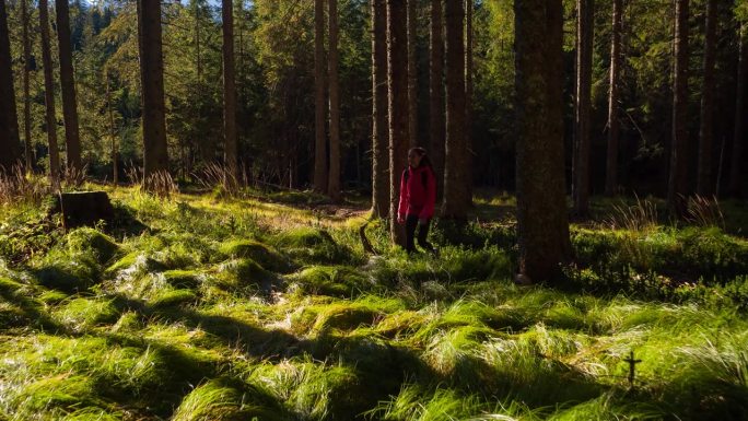 保持健康生活方式的妇女，在阳光明媚的森林小径上徒步旅行