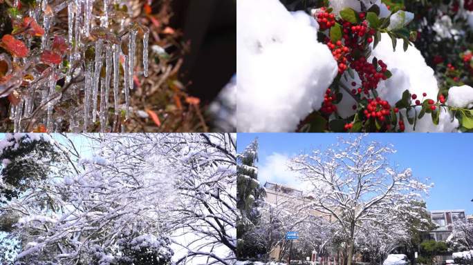 冬季下雪景色素材