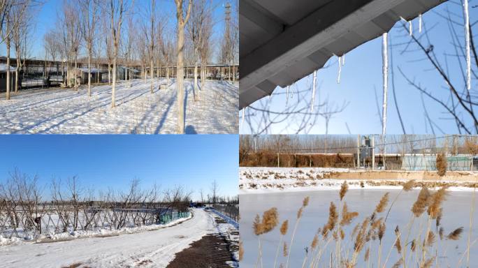 果园 农场 冬季雪景