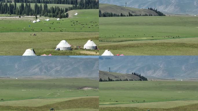 壮阔的高山草原草场赛马牧场