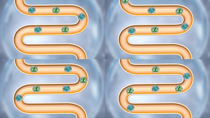 嗜酸乳杆菌 双歧杆菌）围绕着肠道转动