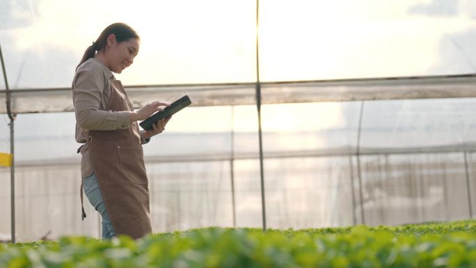 小型企业年轻聪明的农民在她的农场使用技术监视器