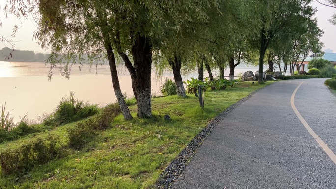 清晨 湖边 跑道 步道 柳树