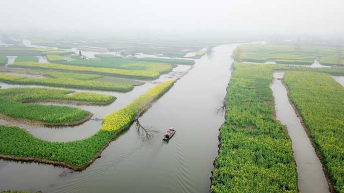 兴化 泰州 江苏 油菜花 航拍 城市宣传