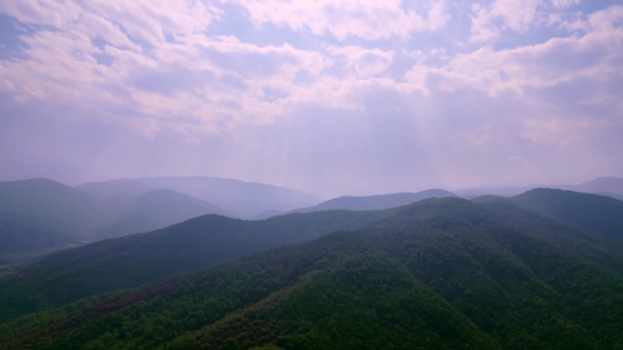 阳光撒下大地