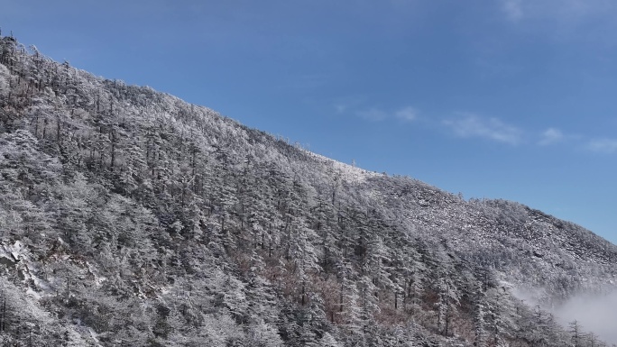 朱雀国家森林公园冰晶顶雪景航拍