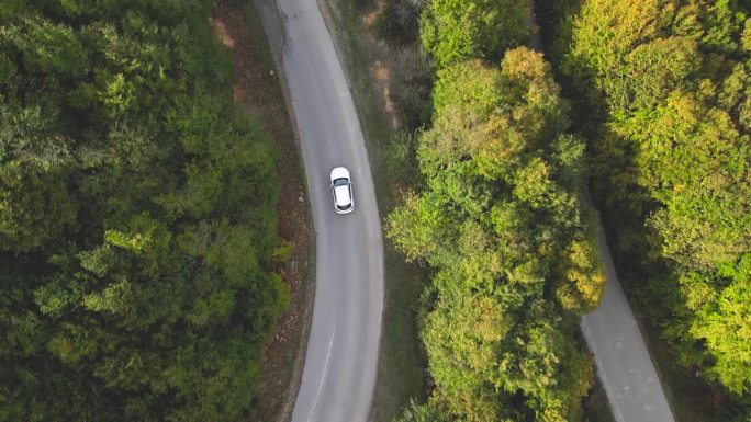 一辆白色马自达3在松树林中行驶的无人机图像。风景优美的风景。快件运送服务。