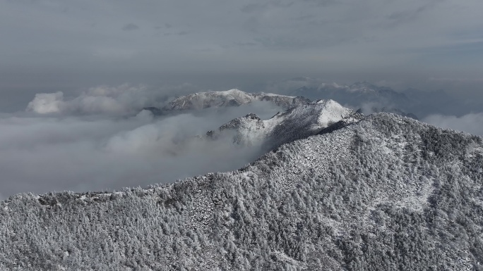 朱雀国家森林公园冰晶顶雪景航拍