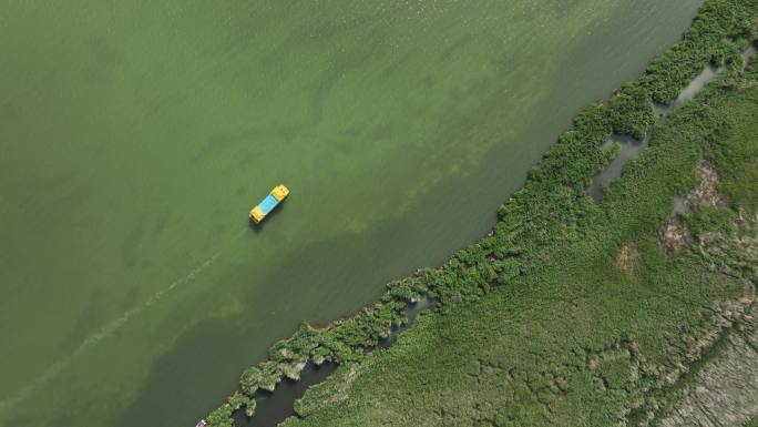 湿地湖泊中行驶的游船