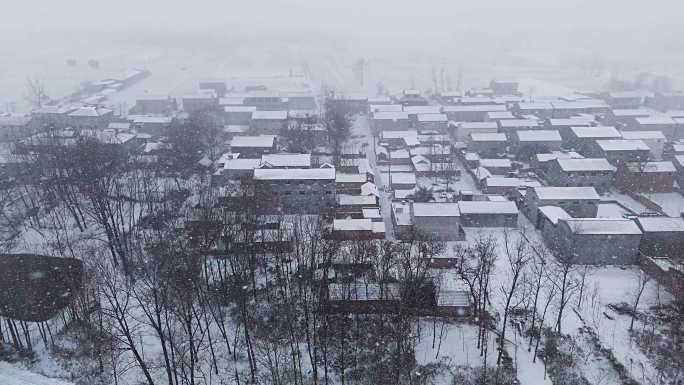 下雪  乡村 暴雪 大雪 下大雪 下暴雪