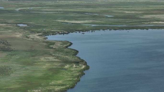 西北荒漠绿洲湖泊湿地生态系统鸟类栖息地