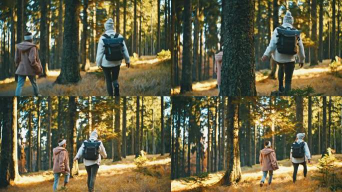 慢镜头的年轻女子在秋天的树林中徒步旅行
