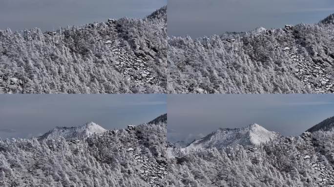 朱雀国家森林公园冰晶顶雪景航拍