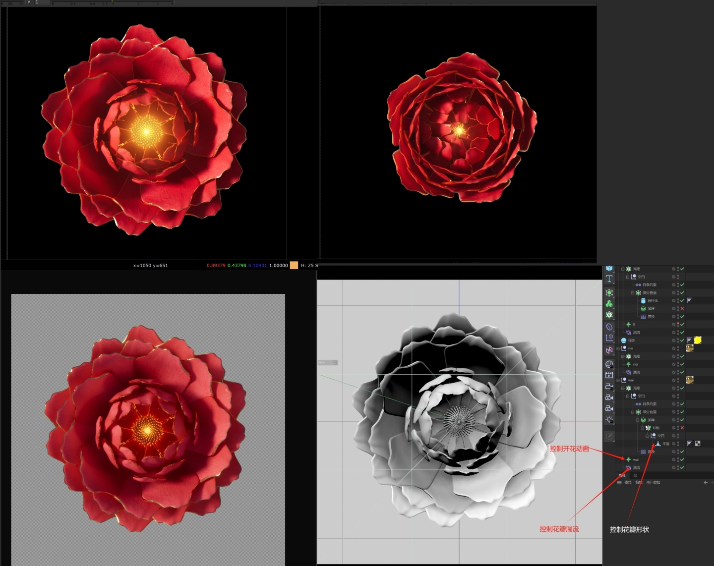 金边写实牡丹开花C4D文件