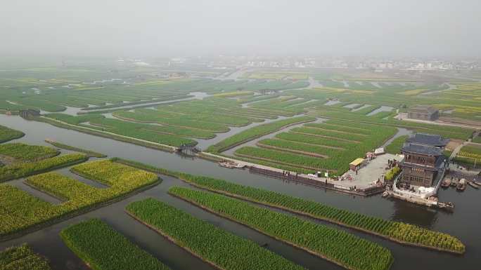 兴化 泰州 江苏 油菜花 航拍 城市宣传