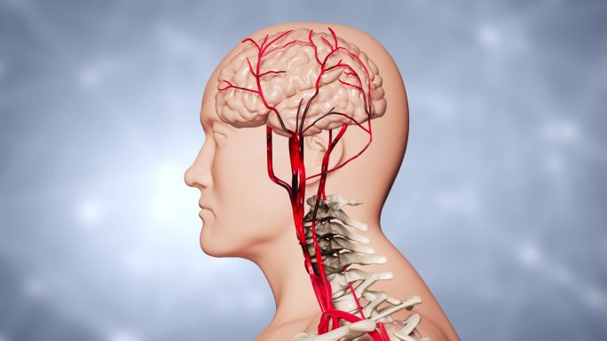颈椎病，长期会影响大脑供血不足，导致头晕