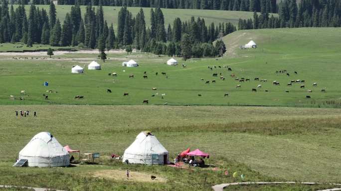 壮阔的高山草原草场赛马牧场