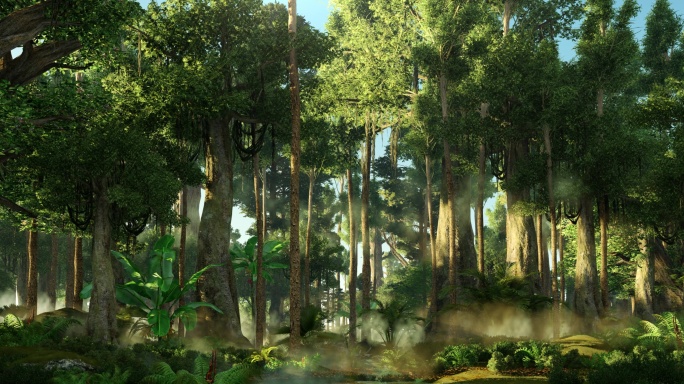 超宽屏森林 树林 生态 热带雨林 丛林