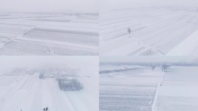 下雪 农村 农田 下雪 冬天 耕地 平原