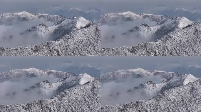 朱雀国家森林公园冰晶顶雪景航拍