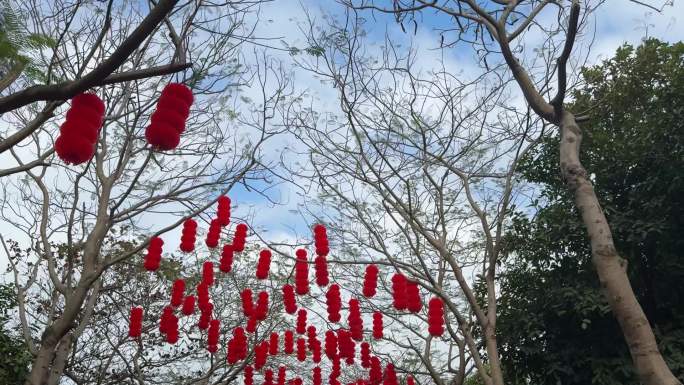 春节氛围视频素材