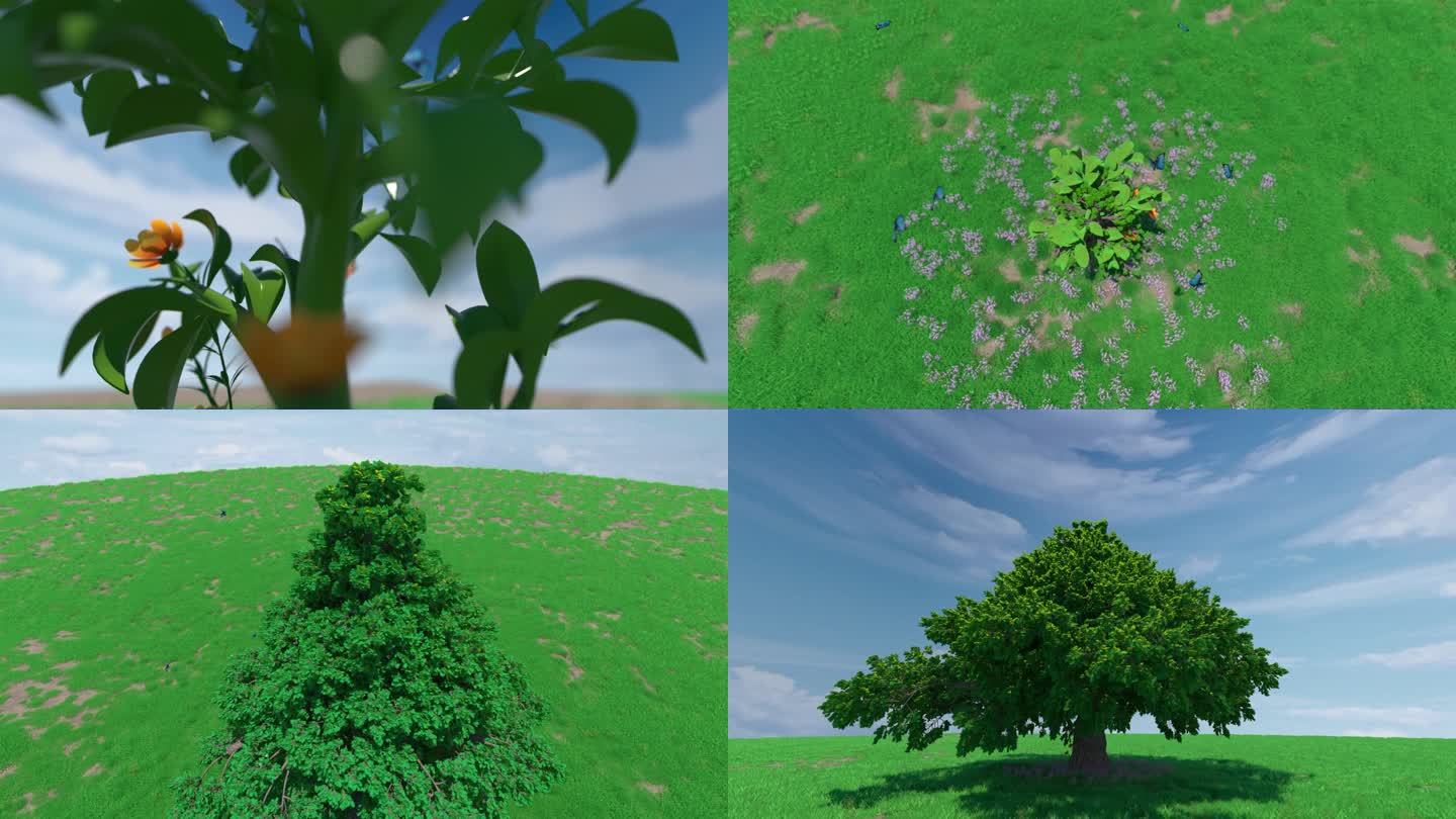 小树苗成长成大树，植物生长【4K原创】