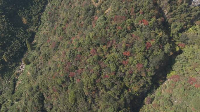 安吉浙北大峡谷群山