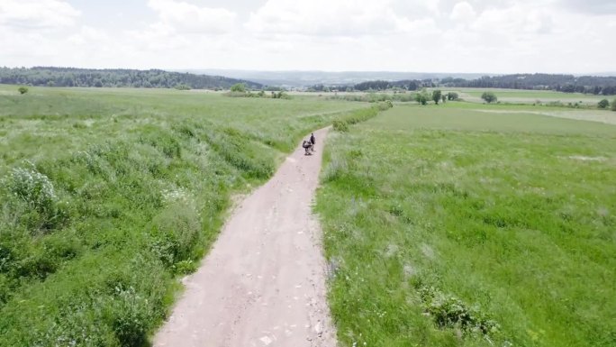 徒步旅行者和驴子在郁郁葱葱的绿色乡村的土路上空中飞过