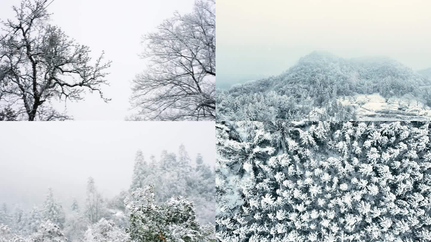 雪山雾凇雪凇雪景合集4K