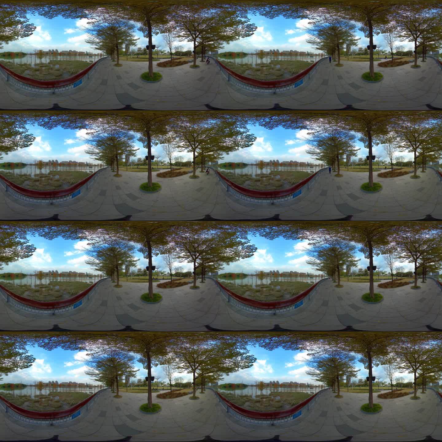 3D全景视频沉浸体验江边风光