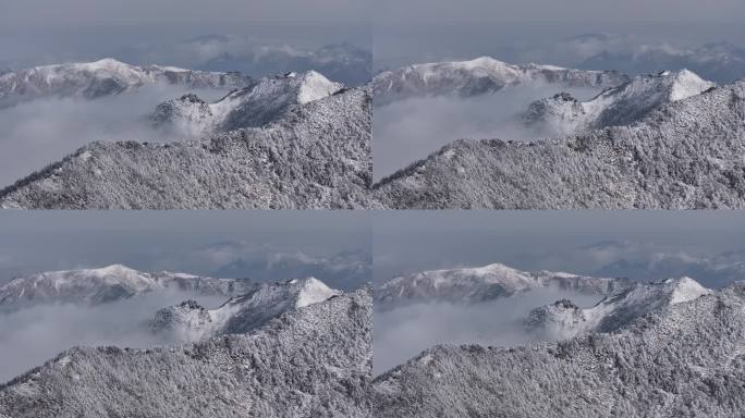 朱雀国家森林公园冰晶顶雪景航拍