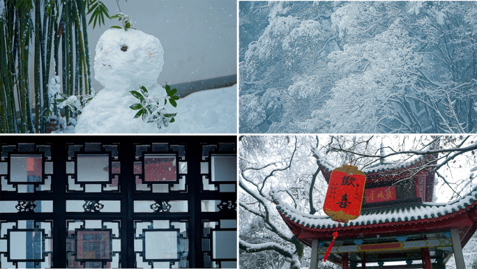 大雪纷飞雪景下雪冬天风景古建筑园林中国风