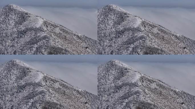 朱雀国家森林公园冰晶顶雪景航拍