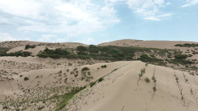 沙漠化治理生态修复沙漠旅游公路青海湖