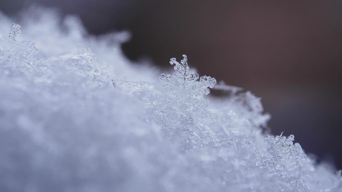 雪融化/化雪/微距特写雪花融化过程/4K