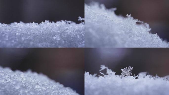 雪融化/化雪/微距特写雪花融化过程/4K