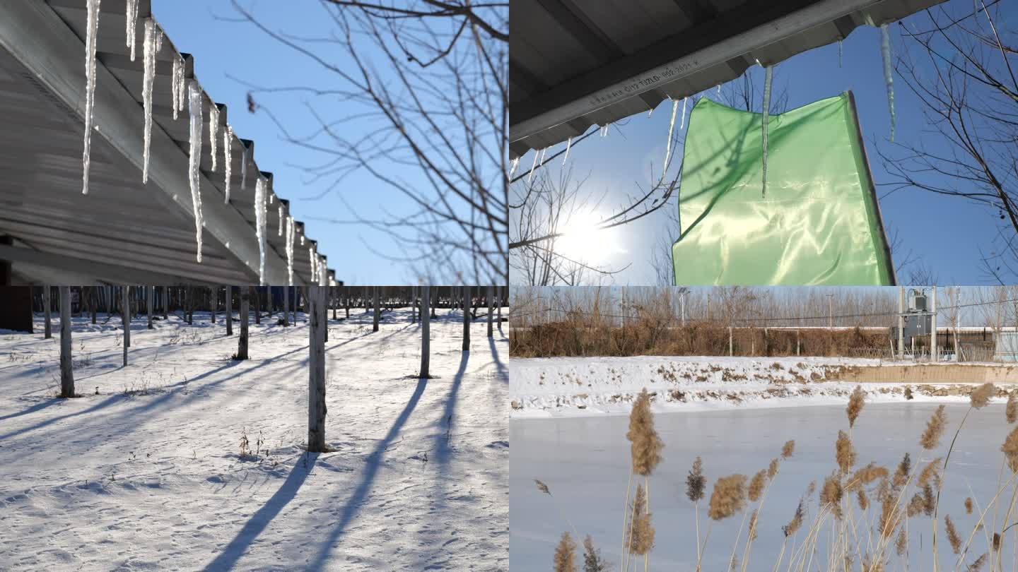 果园雪地雪景 河面结冰 芦苇 雪地上树影