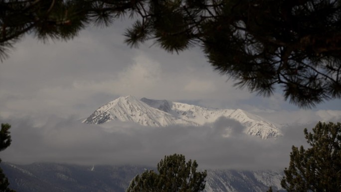 从树丛中可以看到科罗拉多州双子湖被雪覆盖的山，前景是被风吹过的树叶。