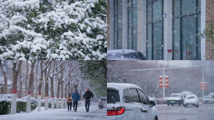 下雪唯美慢镜头