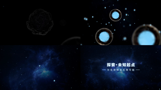 细胞星空宇宙